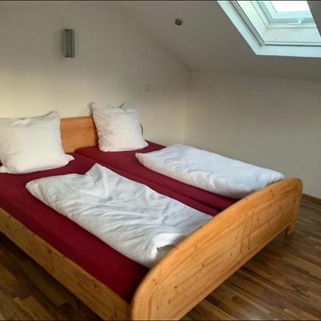 Ferienwohnung Haus Eckert 호헨스반트 외부 사진